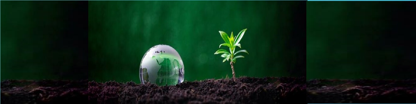 web development company in Noida, web design services India, app development company India, software development company in India